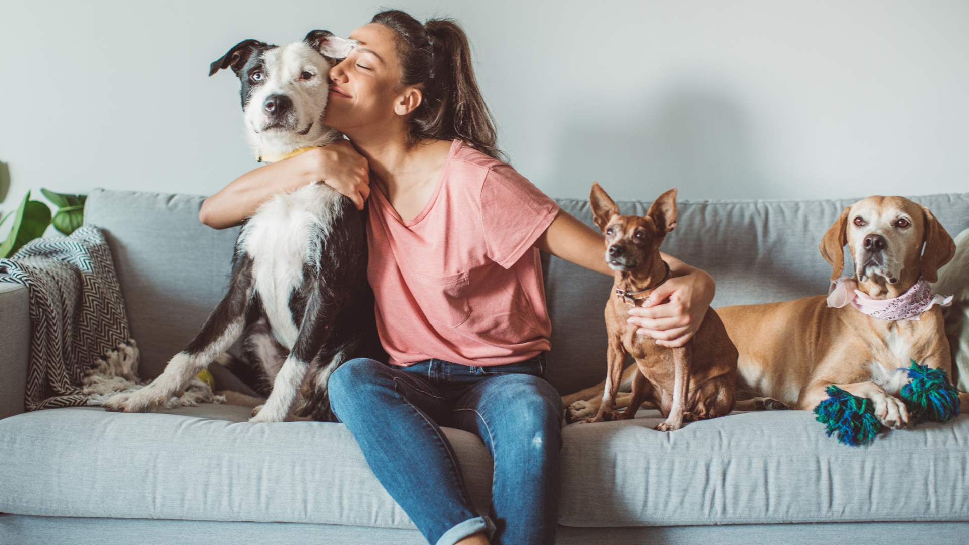 Enhancing Animal Healthcare: The Role of Veterinary Compounding Pharmacy