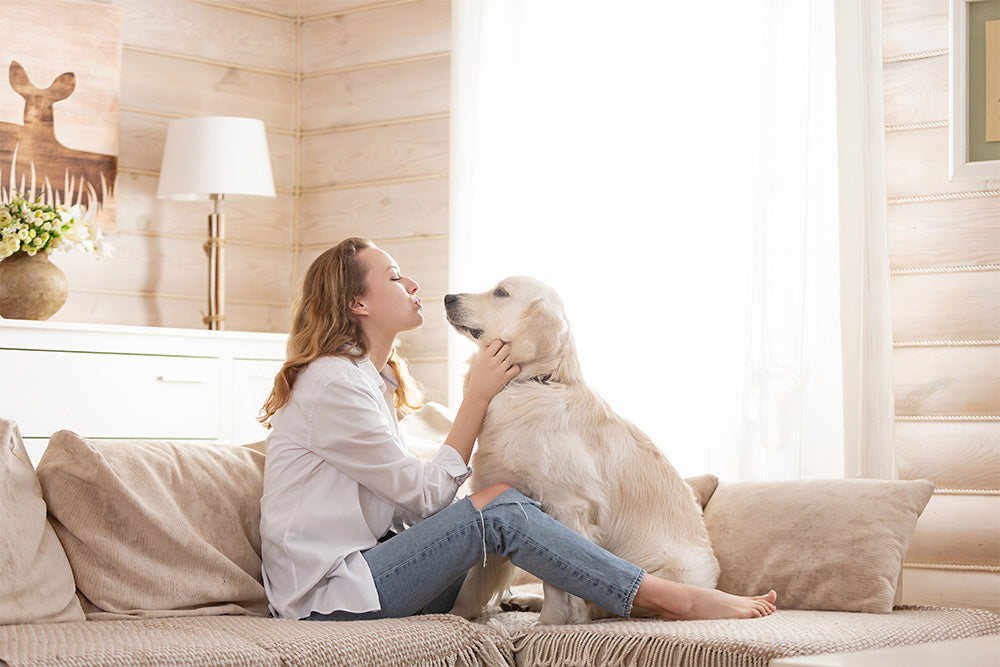 6 Tips to Keep Your Pets Healthy for National Pet Wellness Month