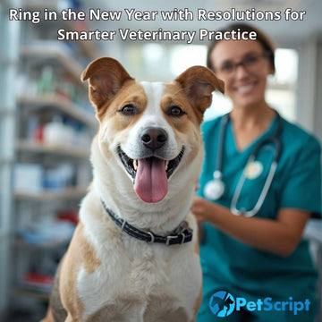 Ring in the New Year