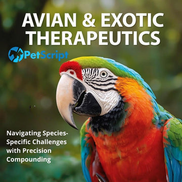 Avian & Exotic Therapeutics