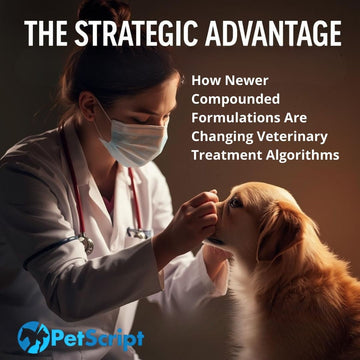 The Strategic Advantage