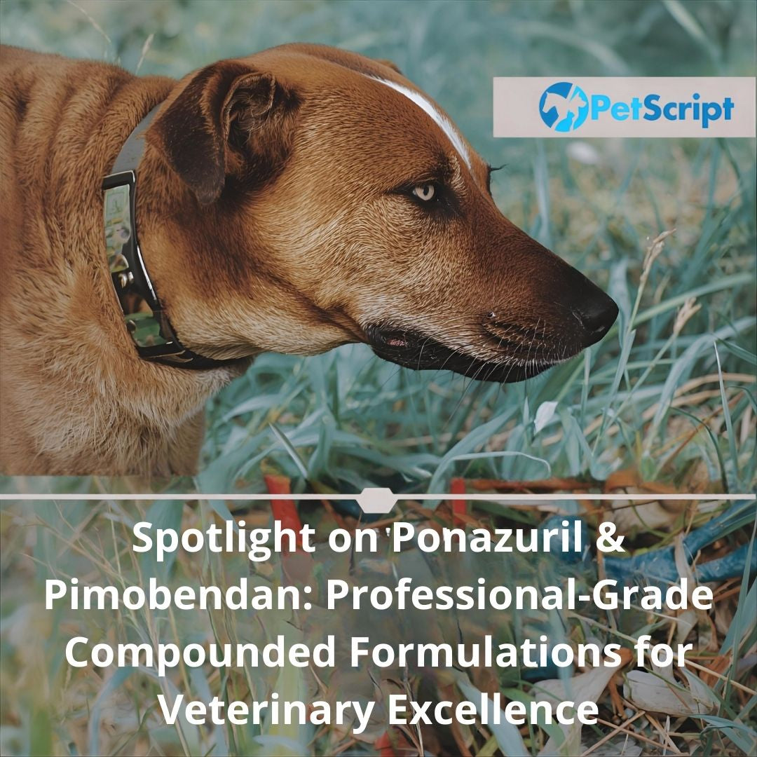 Spotlight on Ponazuril & Pimobendan