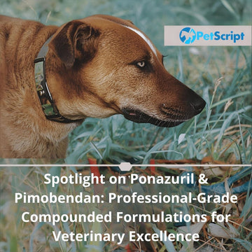 Spotlight on Ponazuril & Pimobendan