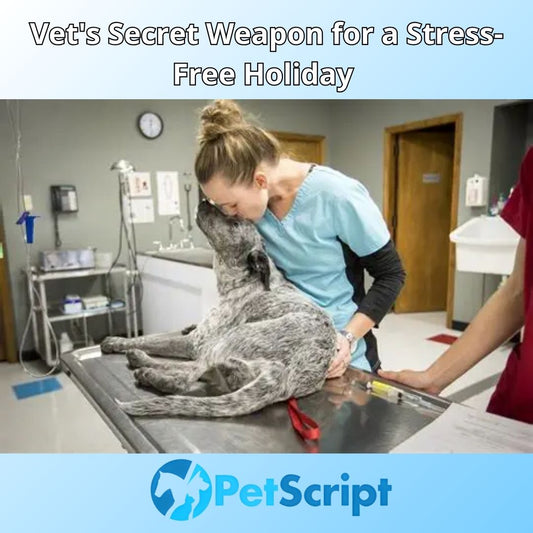 Vet's Secret Weapon for a Stress-Free Holiday