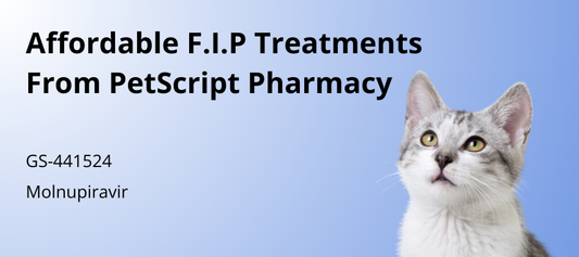 Affordable F.I.P Treatments