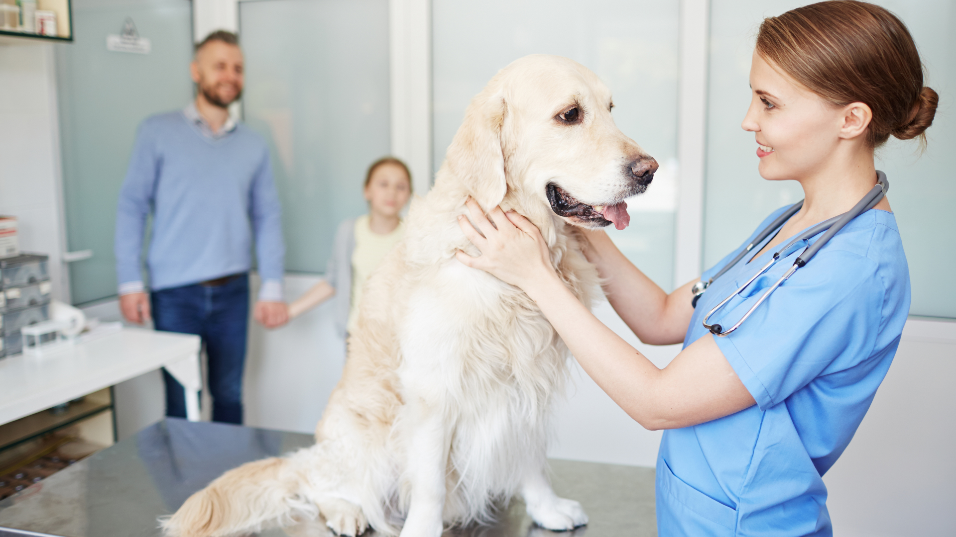 The Power of Personalization: How Compounded Medications Benefit Veterinary Practice