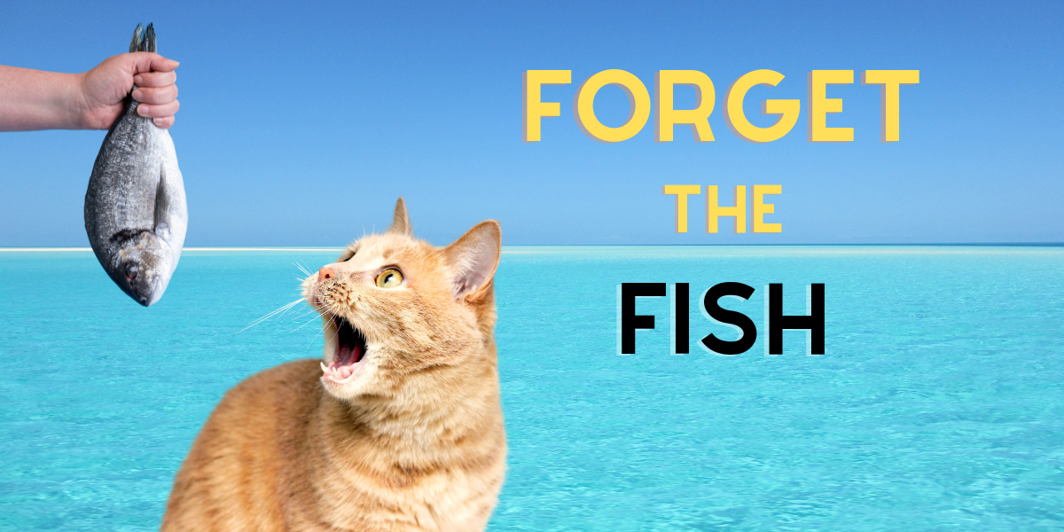 Forget The Fish