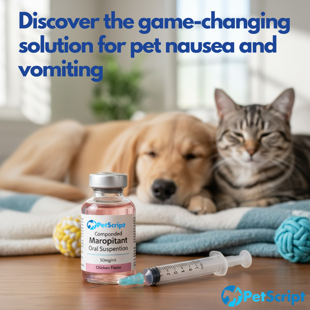 Discover the game-changing solution for pet nausea and vomiting