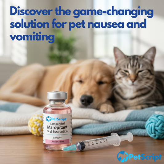 Discover the game-changing solution for pet nausea and vomiting