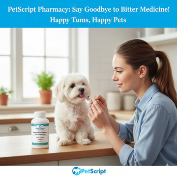 Why Metronidazole Benzoate Oral Suspension is a GI Game-Changer