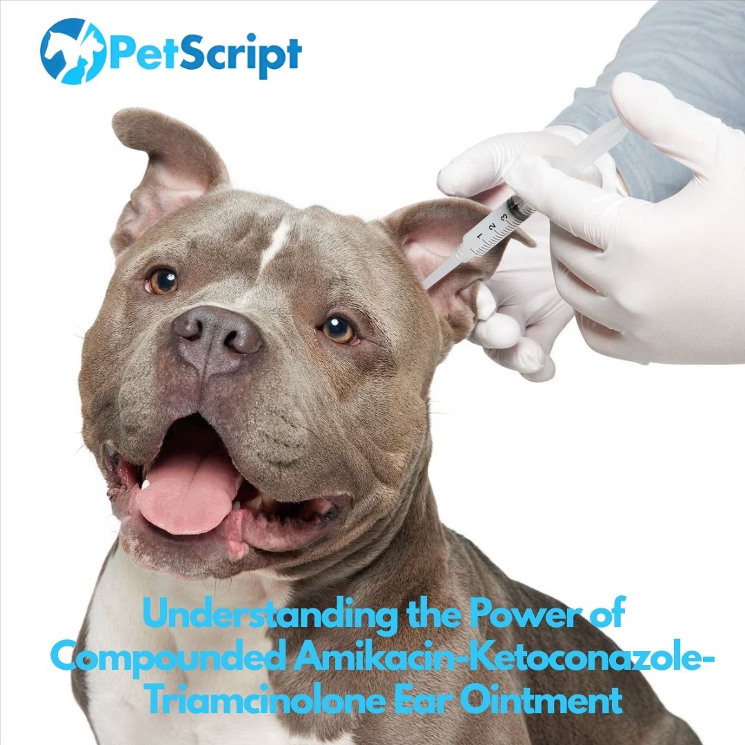 Beyond the Basics: Understanding the Power of Compounded Amikacin-Ketoconazole-Triamcinolone Ear Ointment