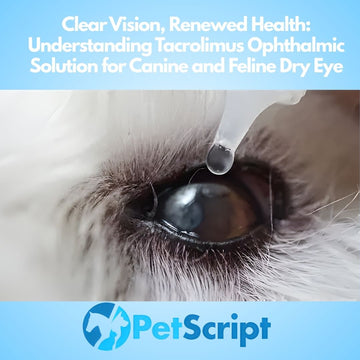 Clear Vision, Renewed Health: Understanding Tacrolimus Ophthalmic Solution for Canine and Feline Dry Eye