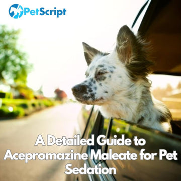 Keeping Calm: A Detailed Guide to Acepromazine Maleate for Pet Sedation
