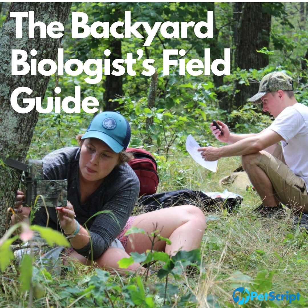 The Backyard Biologist’s Field Guide