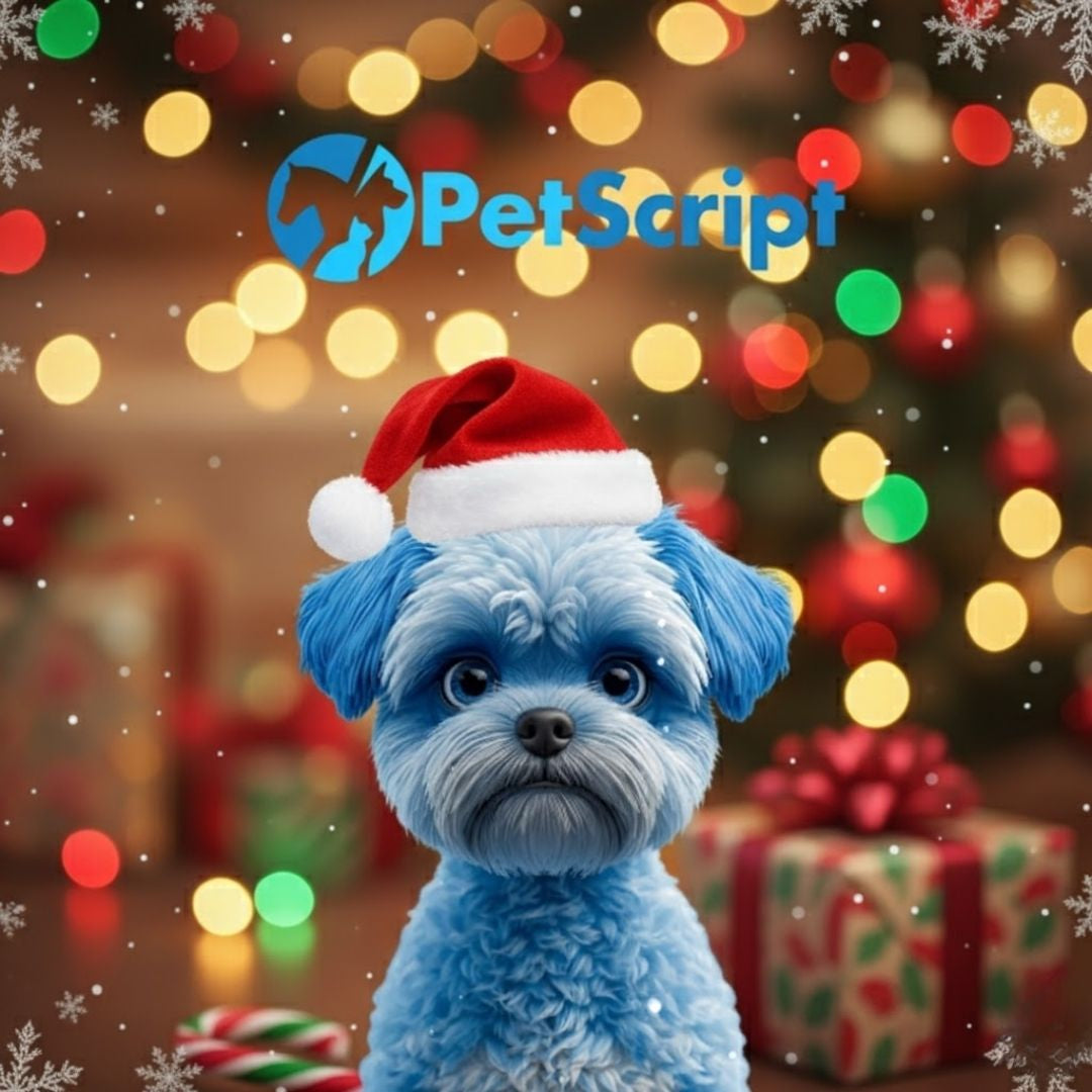 A Prescription for Pet-Friendly Holidays