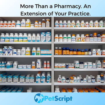 The Right Pharmacy Elevates Veterinary Care