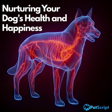 🐾 The Ultimate Guide to Canine Vitality: Nurturing Your Dog's Health and Happiness