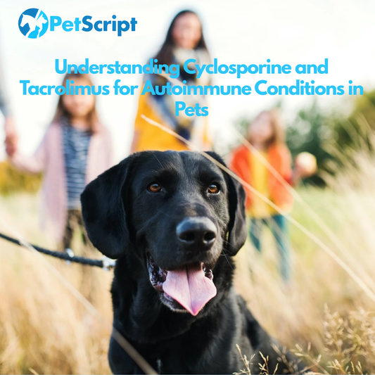 Understanding Cyclosporine and Tacrolimus for Autoimmune Conditions in Pets