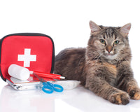 6 First-Aid Tips for Pets