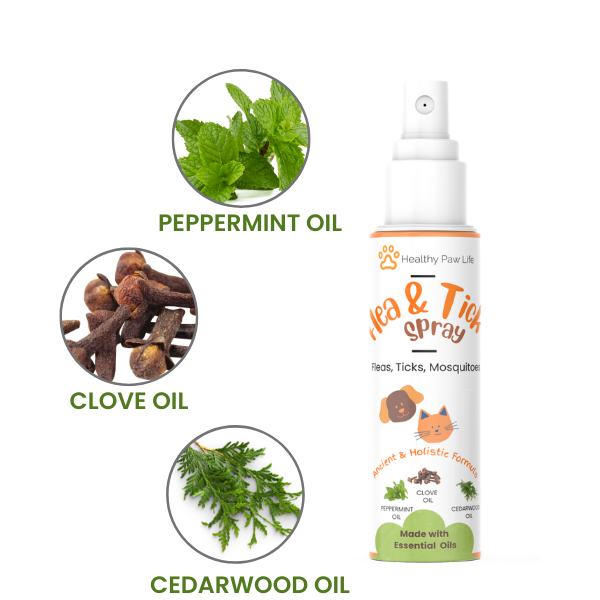 Flea tick spray essential oil natural treatment mosquitoes larvae bugs dogs cats home garden poultry pet mites scabies peppermint cedarwood clove sesame healthy ancient holistic alternative repellent pesticide insecticide