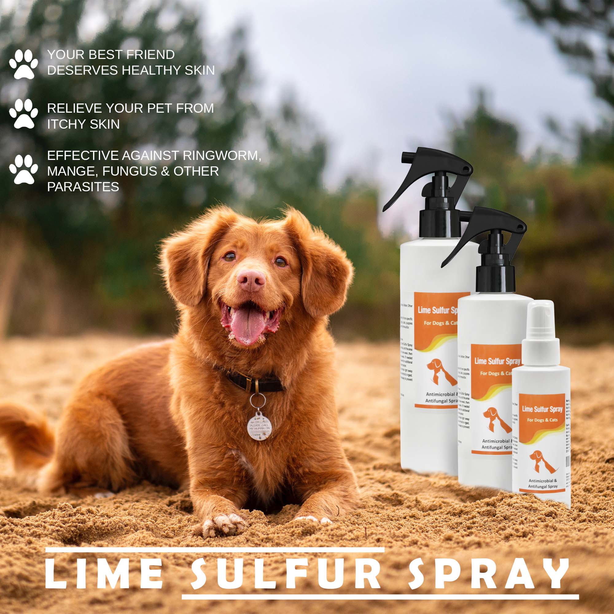 Best Shampoo for Pet | Pet Shampoo & Spray | Healthy Paw Life